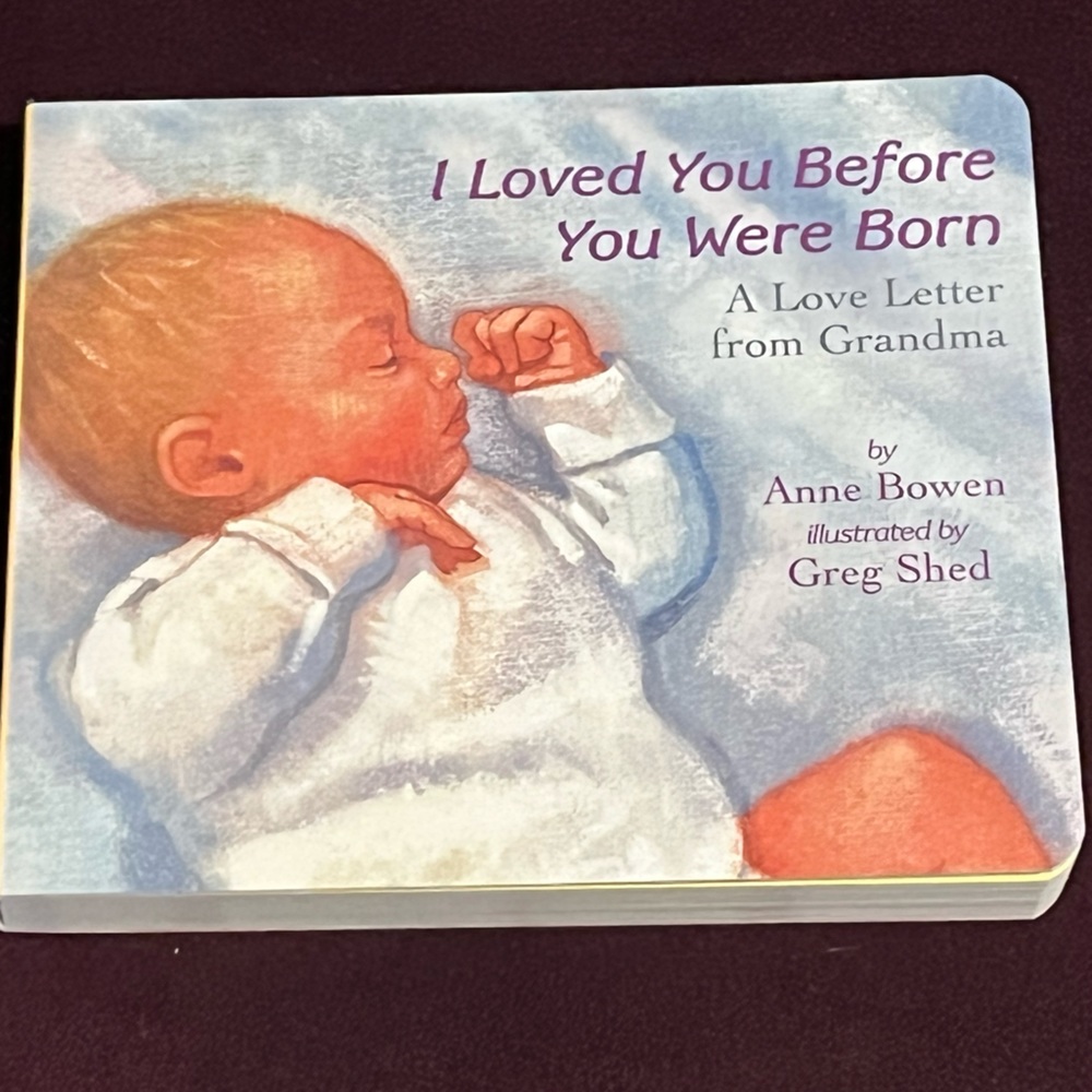 NWT Cardboard Baby Book “I Loved You Before You We’re Born”